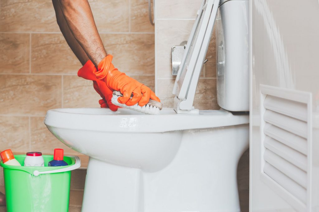 How To Clear A Clogged Toilet Blackbird Kitchen